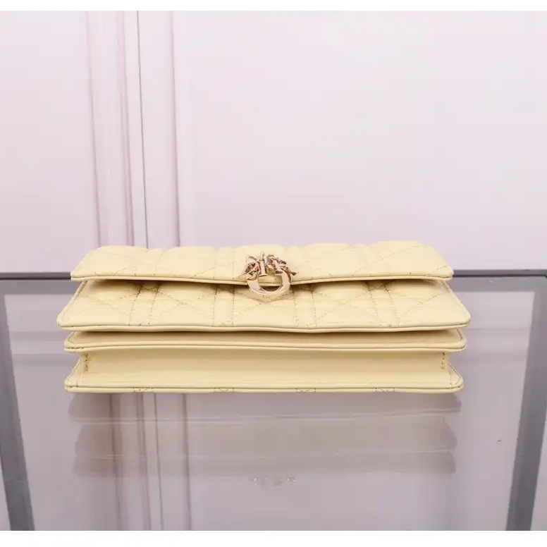 Fashionrep 2312YA0114 Dio Bags 0724